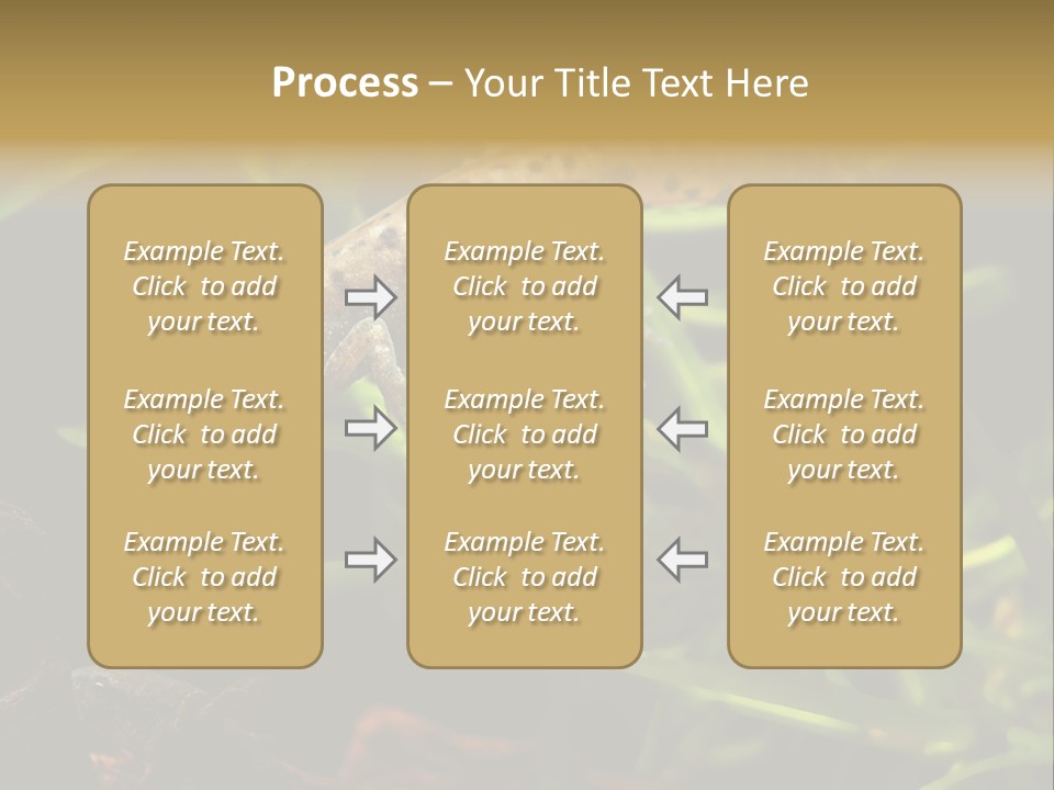 Crested Frog Young PowerPoint Template