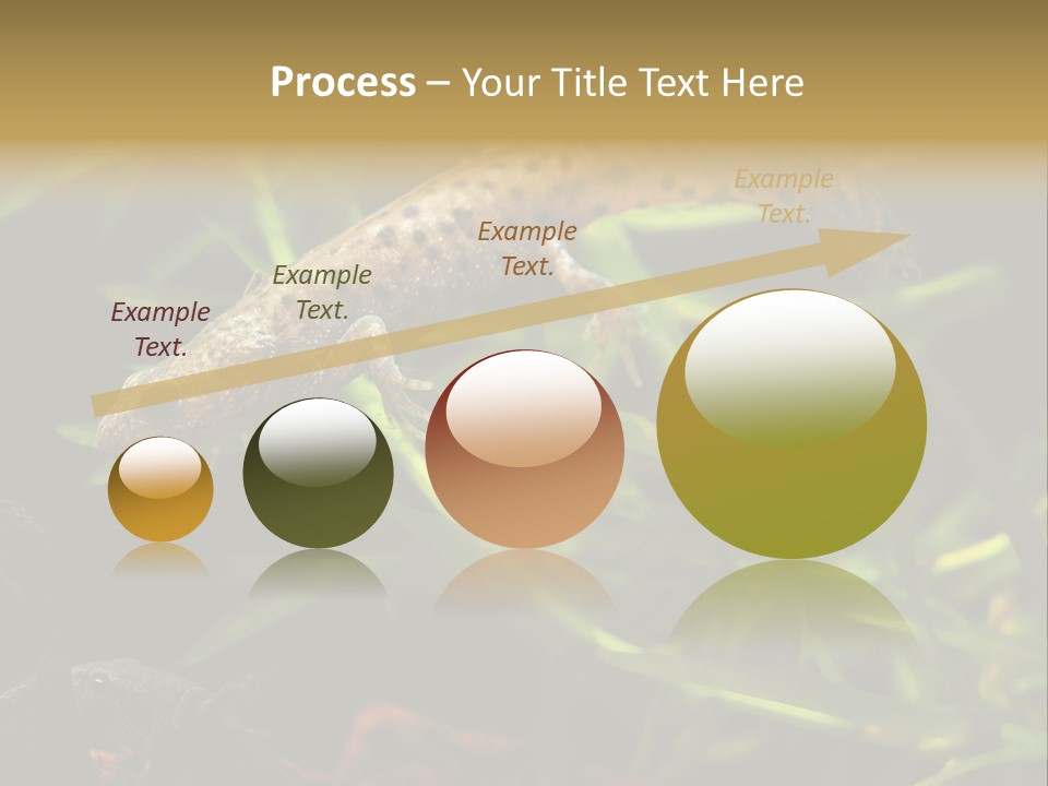 Crested Frog Young PowerPoint Template