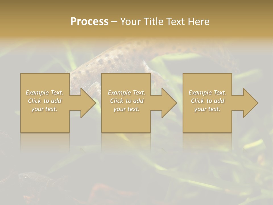 Crested Frog Young PowerPoint Template