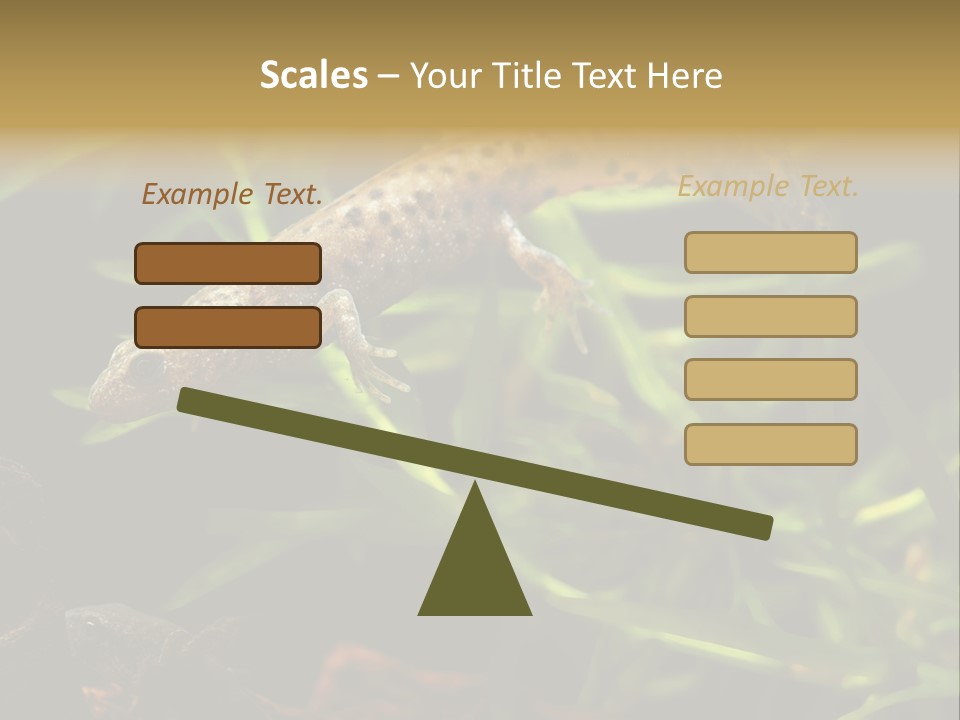 Crested Frog Young PowerPoint Template
