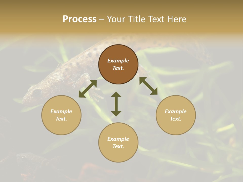 Crested Frog Young PowerPoint Template