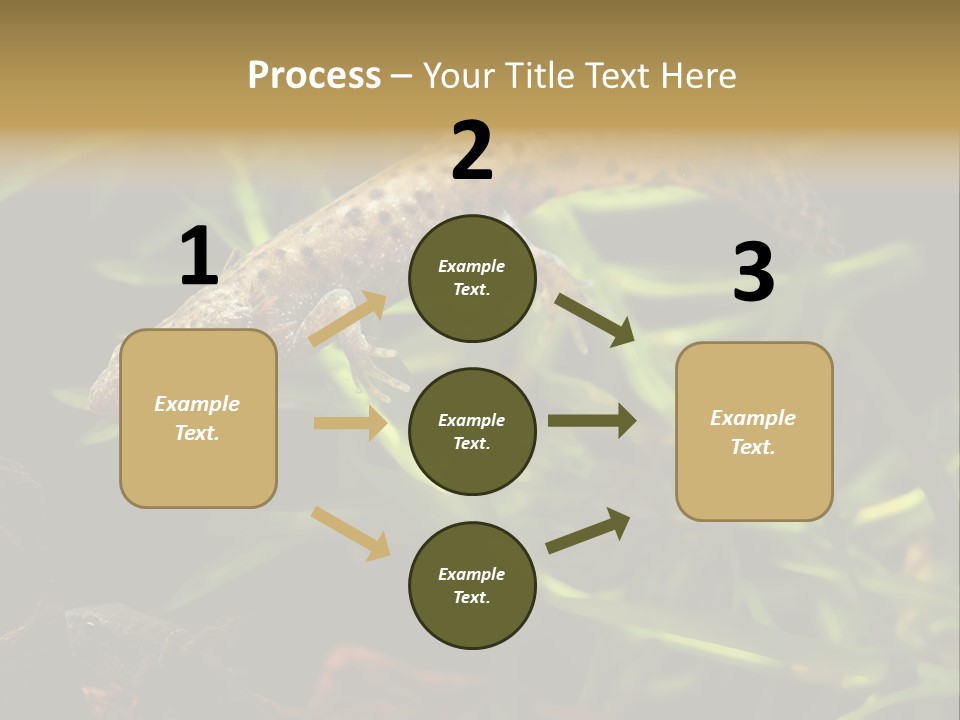 Crested Frog Young PowerPoint Template