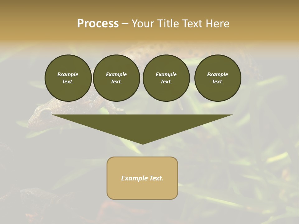Crested Frog Young PowerPoint Template
