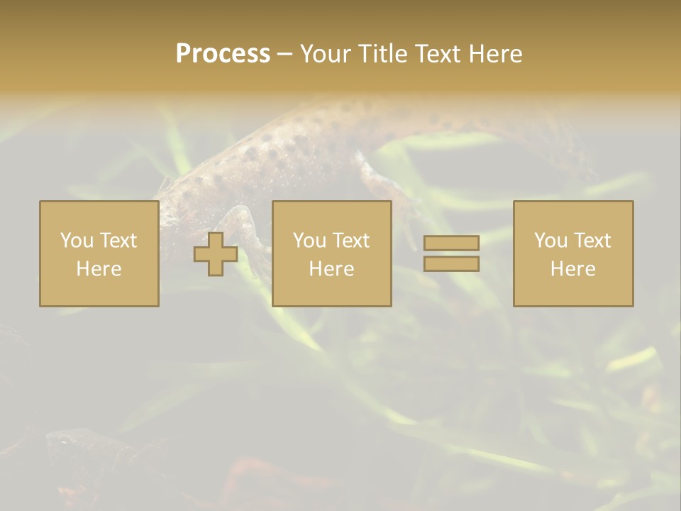 Crested Frog Young PowerPoint Template