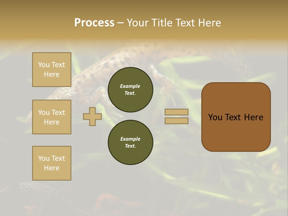Crested Frog Young PowerPoint Template