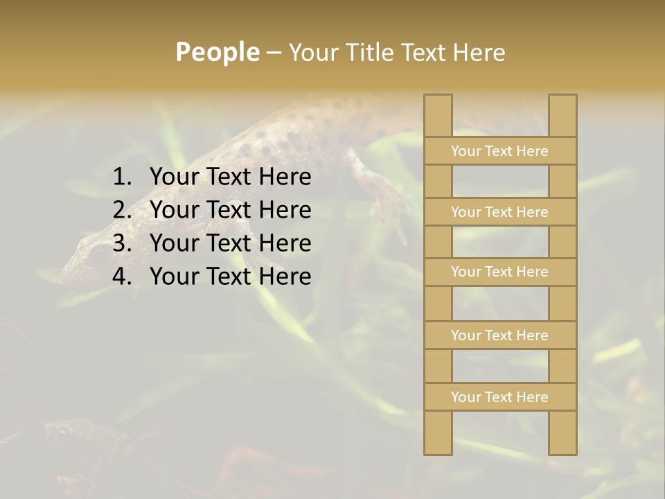 Crested Frog Young PowerPoint Template