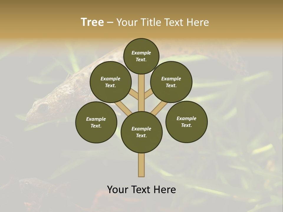 Crested Frog Young PowerPoint Template