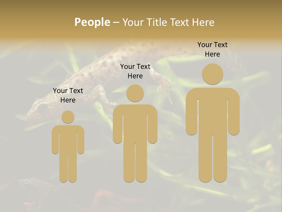 Crested Frog Young PowerPoint Template