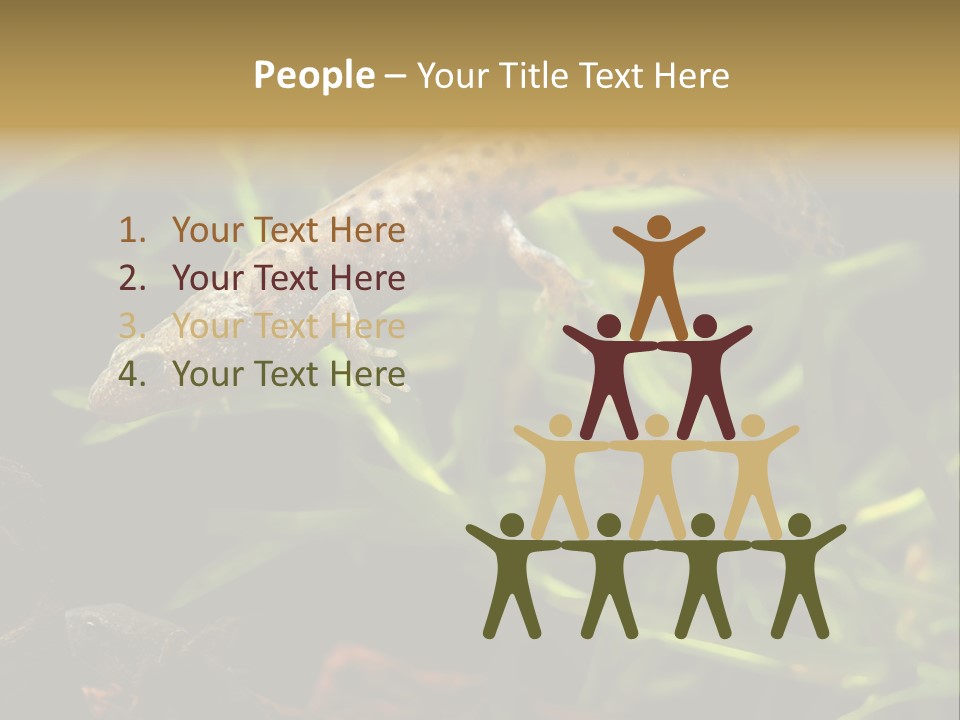 Crested Frog Young PowerPoint Template