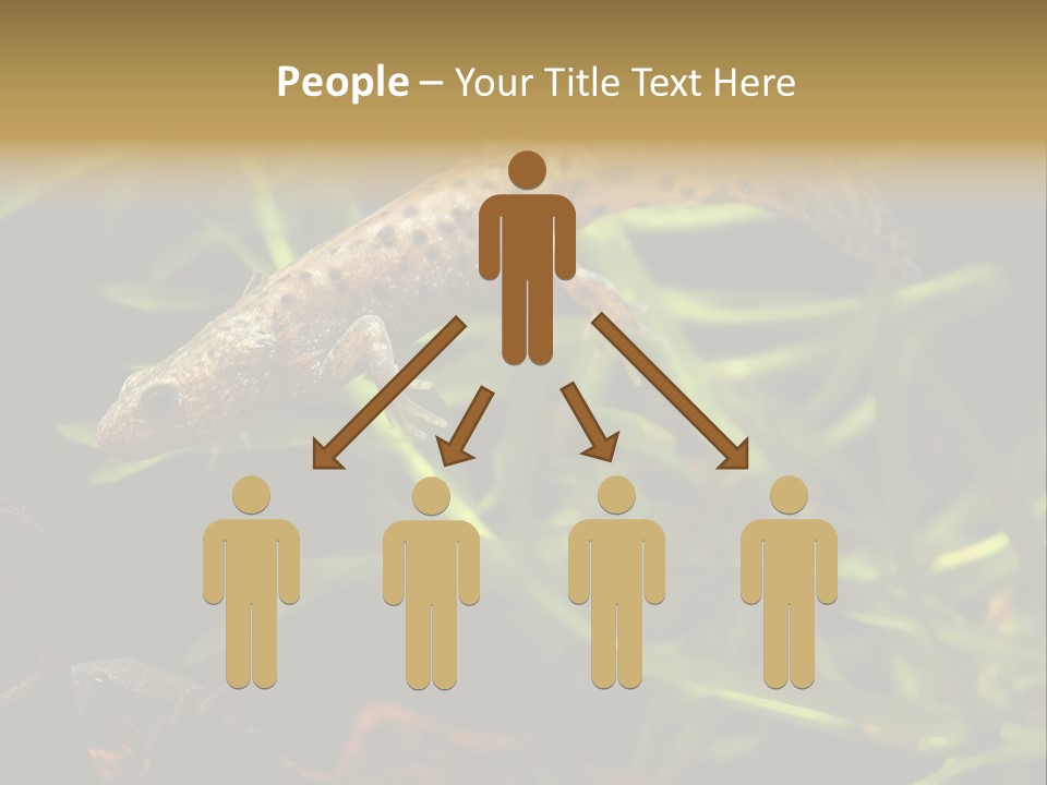 Crested Frog Young PowerPoint Template