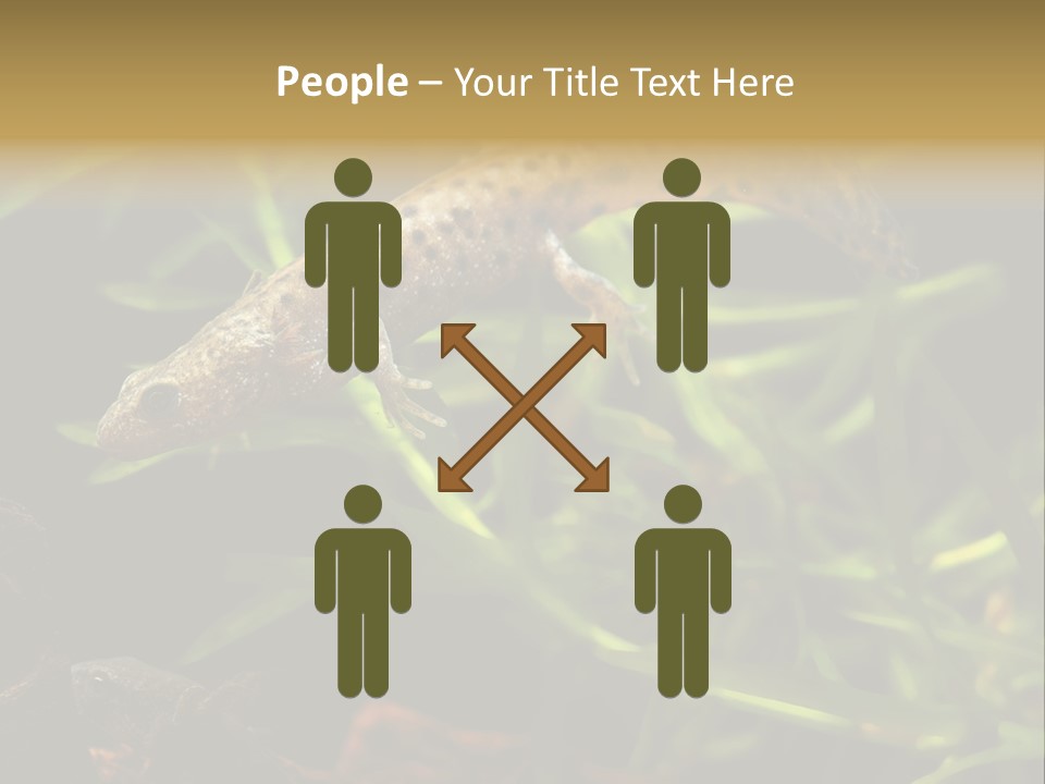 Crested Frog Young PowerPoint Template