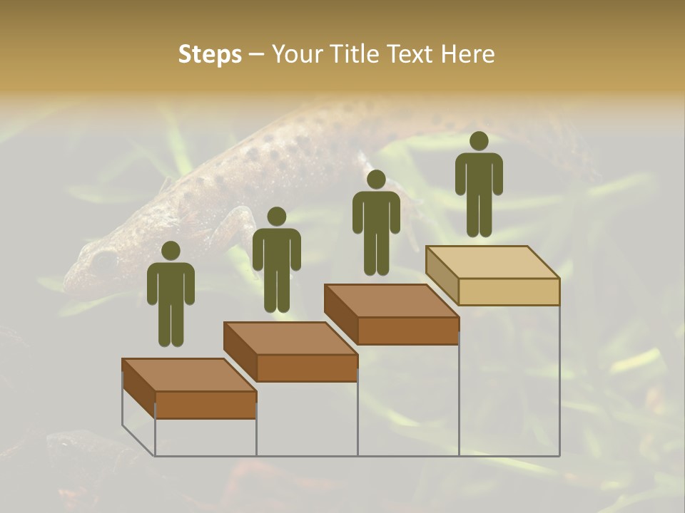 Crested Frog Young PowerPoint Template