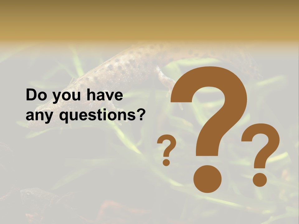 Crested Frog Young PowerPoint Template