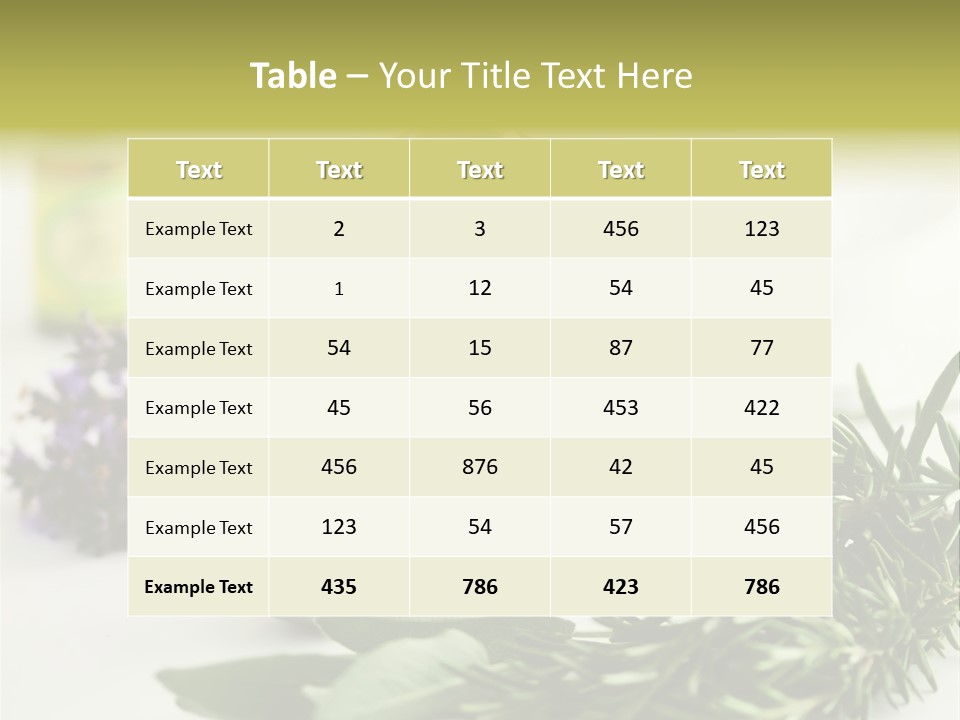 Couple Arguing Problem PowerPoint Template