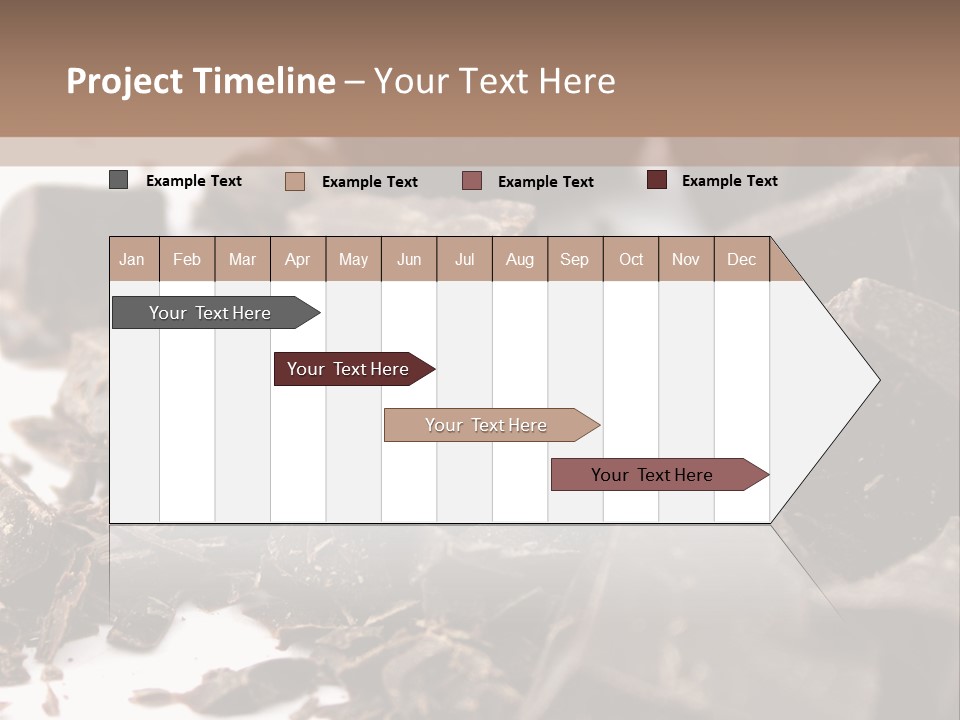 Macro Health Bite PowerPoint Template
