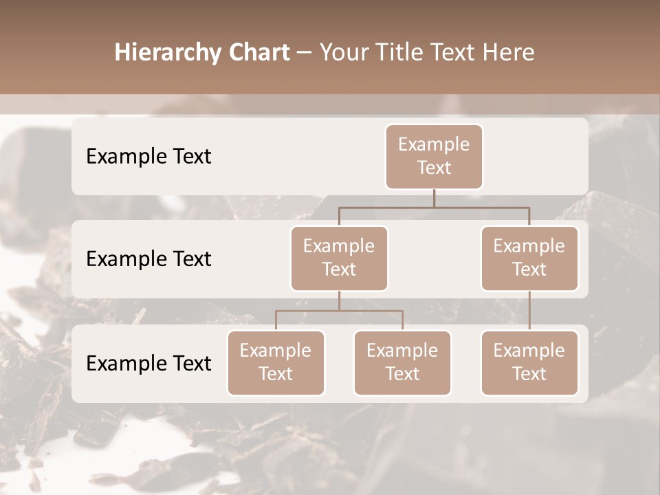 Macro Health Bite PowerPoint Template