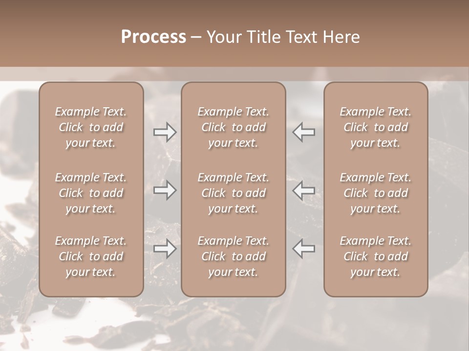 Macro Health Bite PowerPoint Template