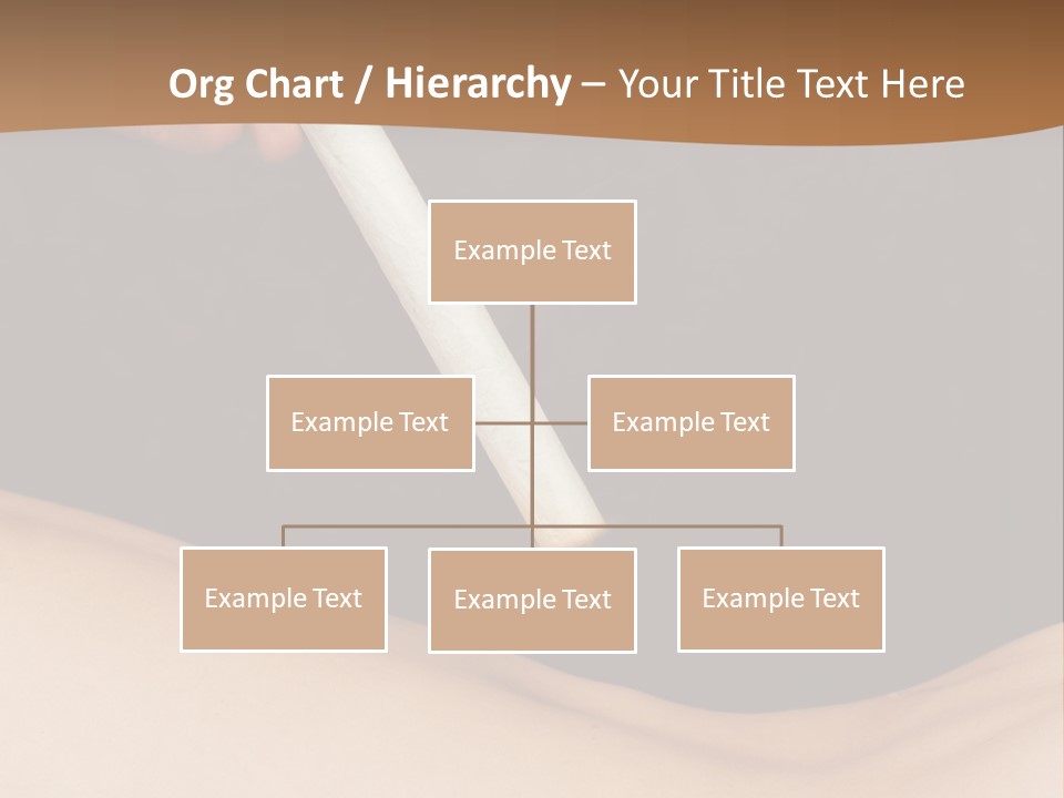 Eastern Healthcare Moxa PowerPoint Template