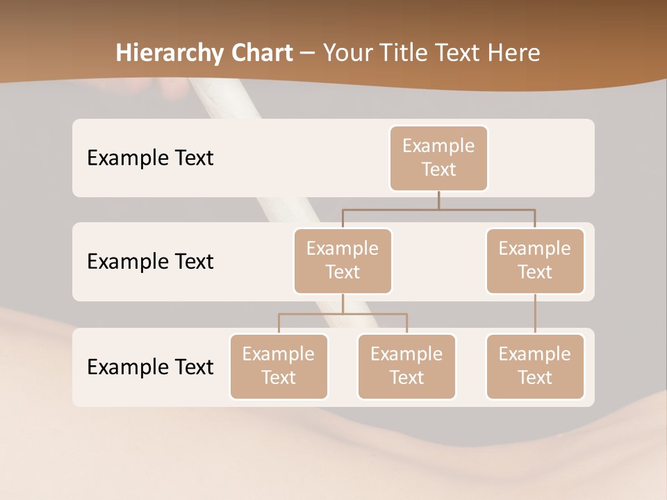 Eastern Healthcare Moxa PowerPoint Template