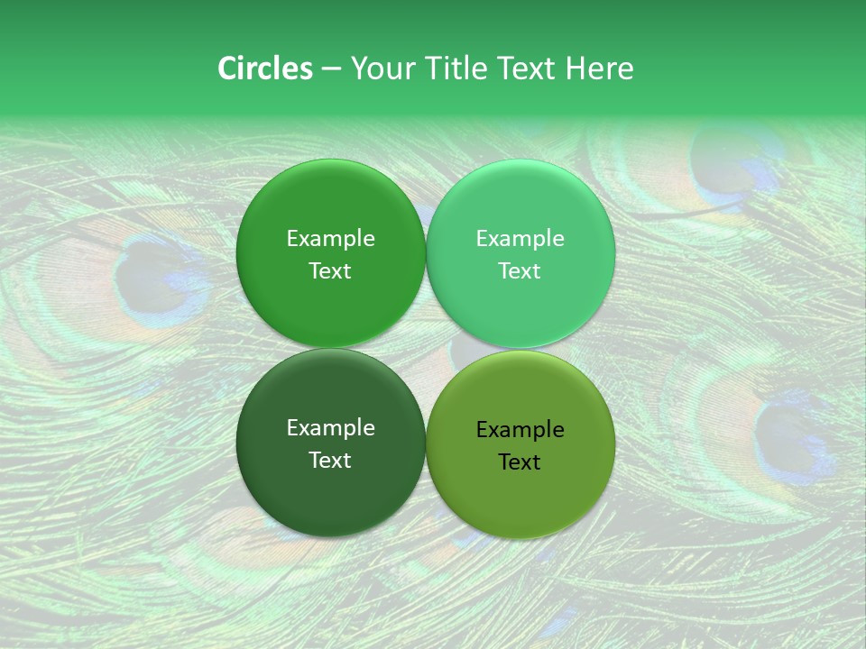 Colorful Travel Random PowerPoint Template