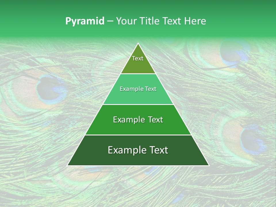 Colorful Travel Random PowerPoint Template