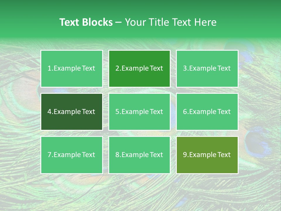 Colorful Travel Random PowerPoint Template