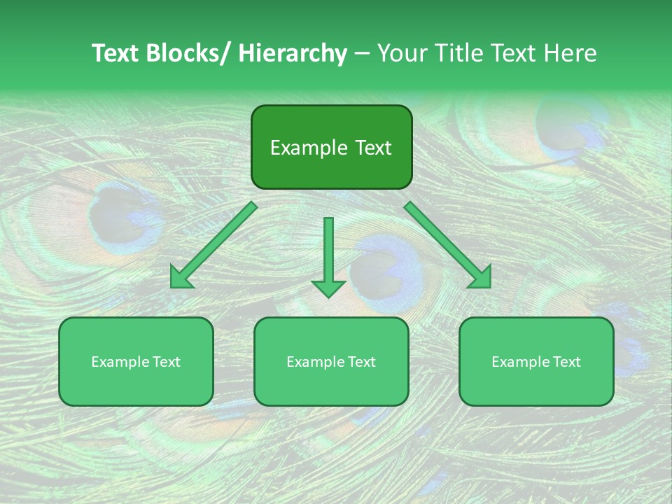 Colorful Travel Random PowerPoint Template