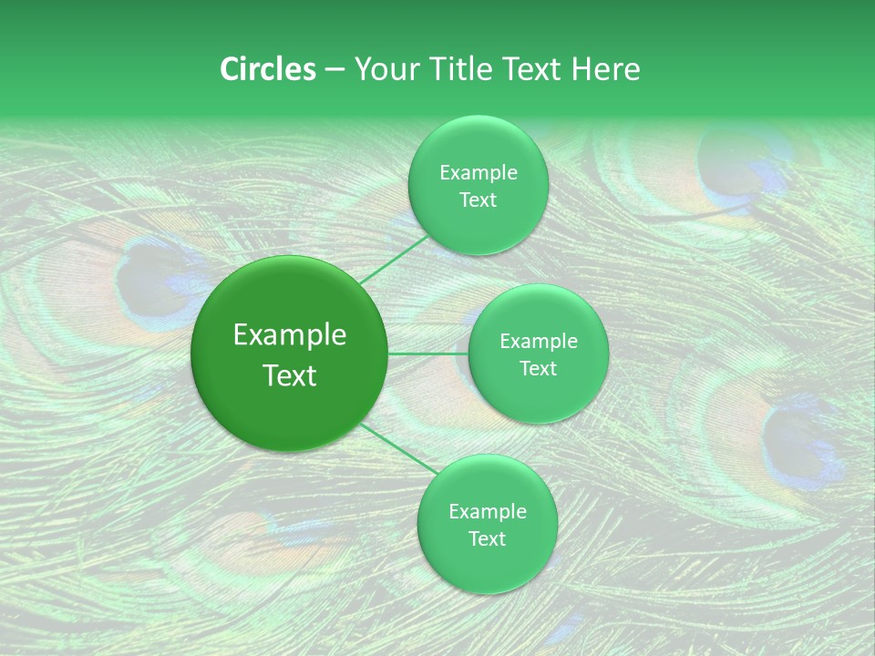 Colorful Travel Random PowerPoint Template