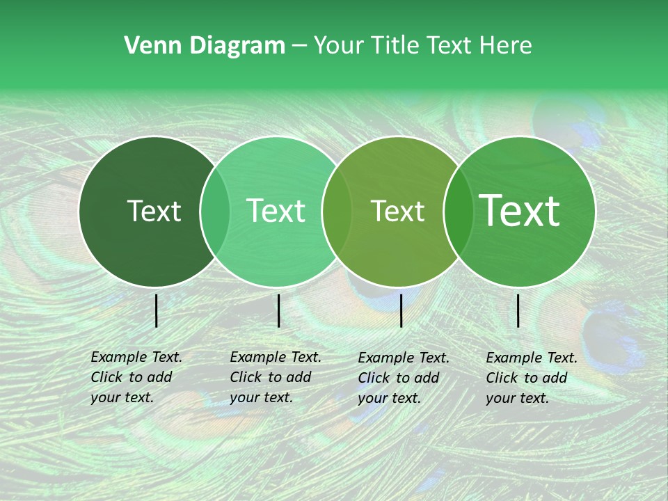 Colorful Travel Random PowerPoint Template