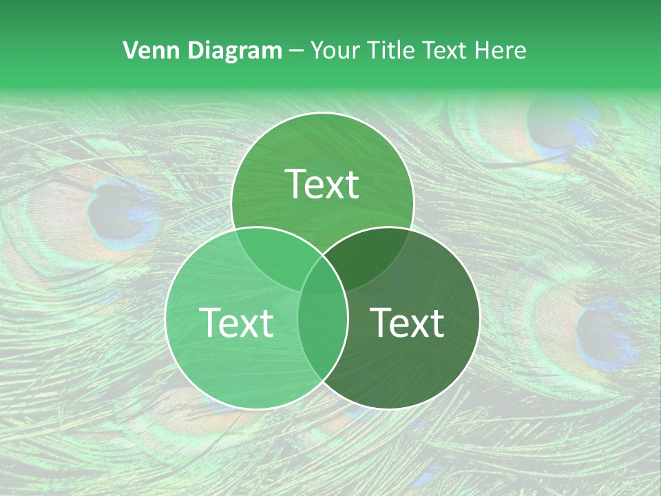 Colorful Travel Random PowerPoint Template