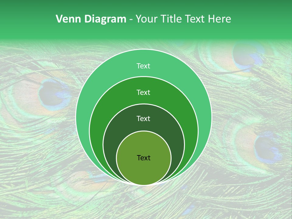 Colorful Travel Random PowerPoint Template