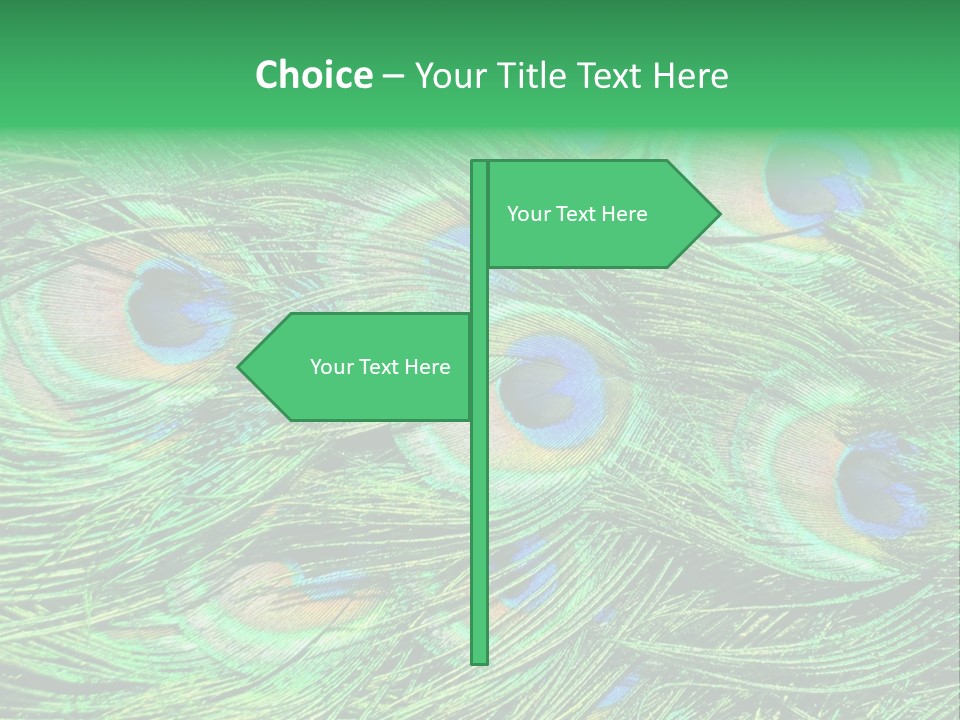 Colorful Travel Random PowerPoint Template