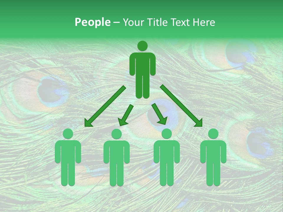 Colorful Travel Random PowerPoint Template