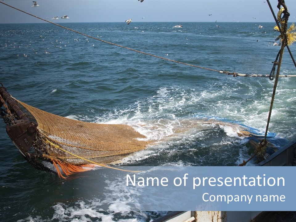 Catch Fishing Net PowerPoint Template