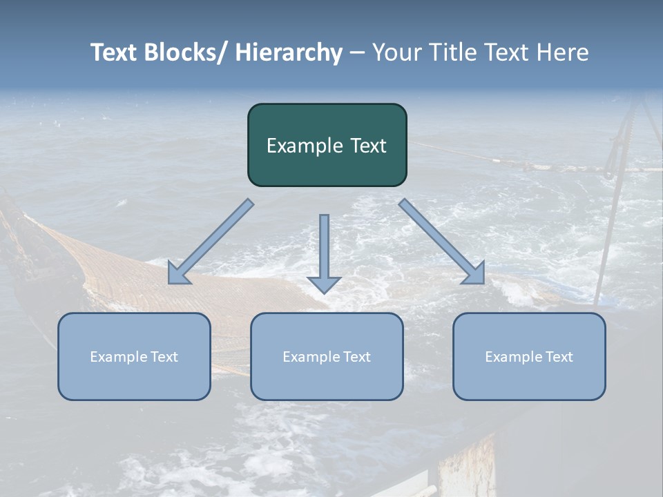 Catch Fishing Net PowerPoint Template