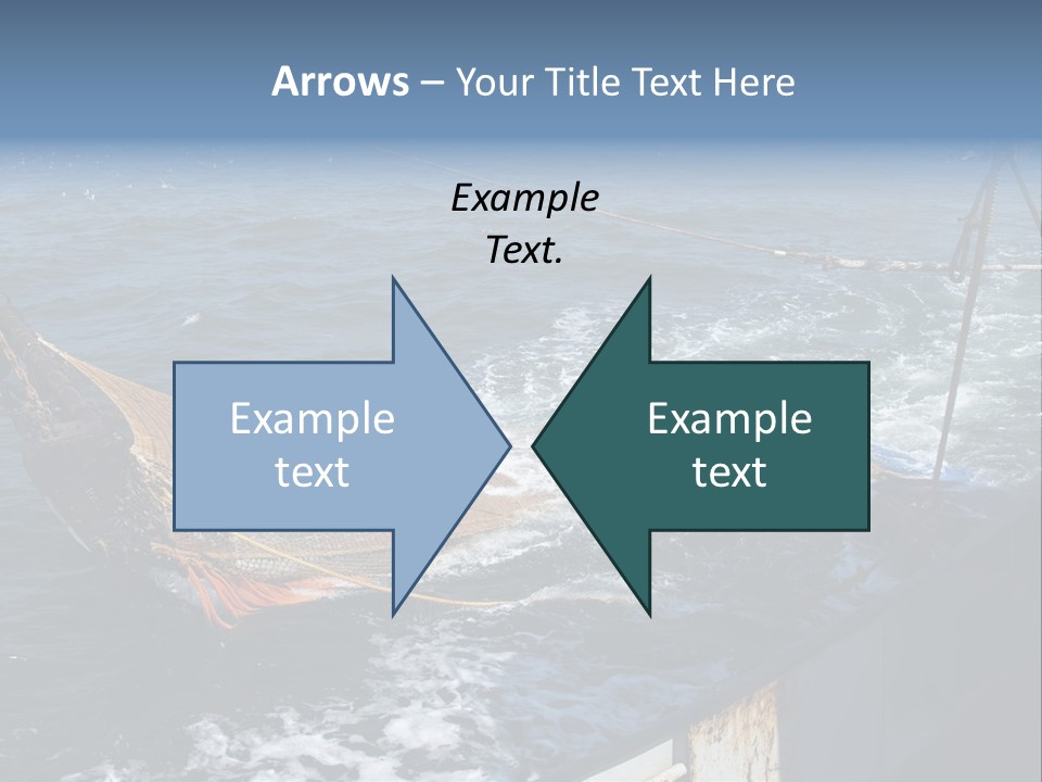 Catch Fishing Net PowerPoint Template