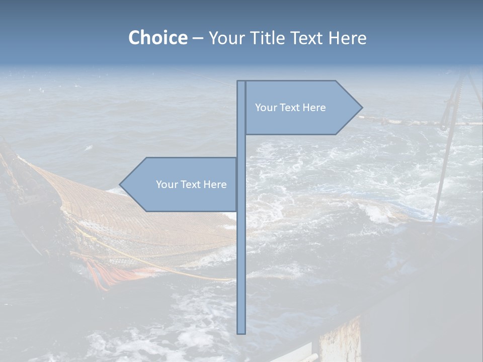 Catch Fishing Net PowerPoint Template