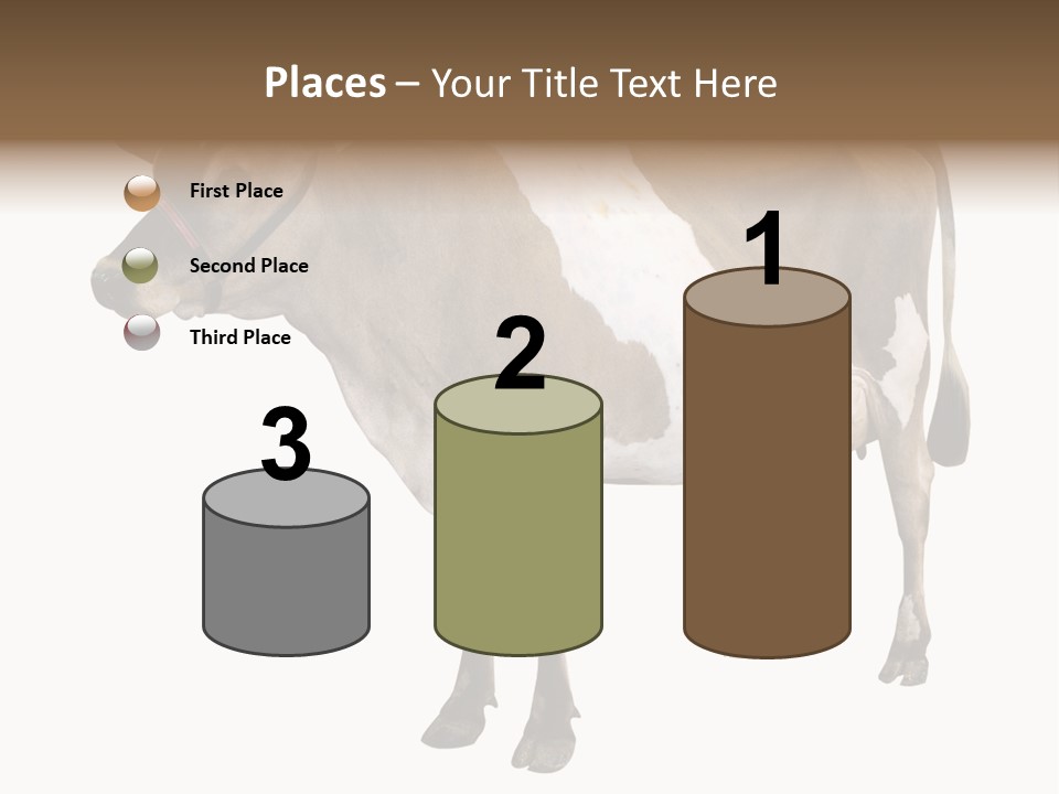 Hooves Calf Livestock PowerPoint Template