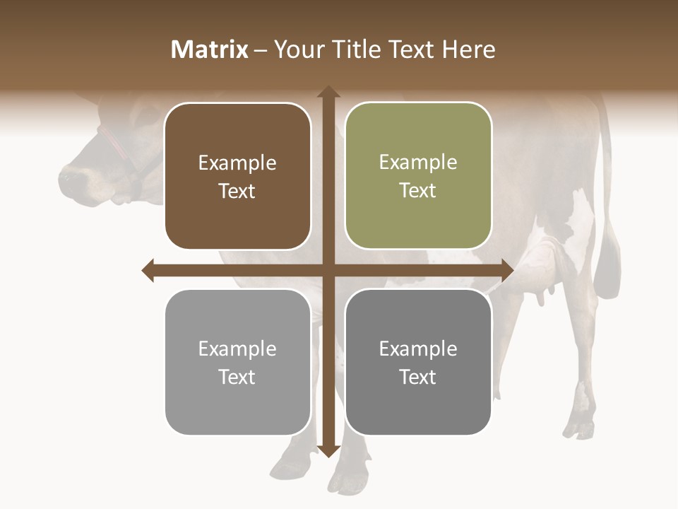 Hooves Calf Livestock PowerPoint Template