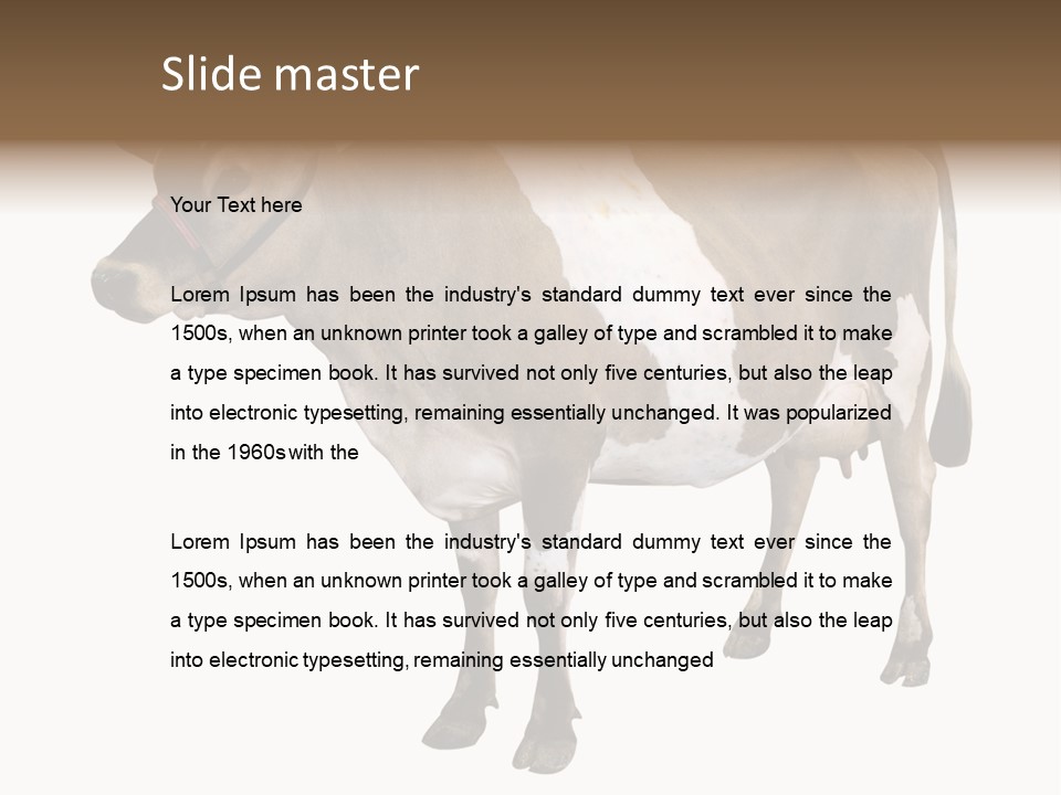 Hooves Calf Livestock PowerPoint Template