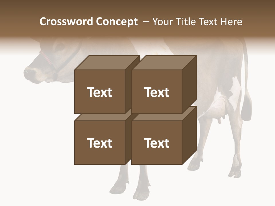 Hooves Calf Livestock PowerPoint Template