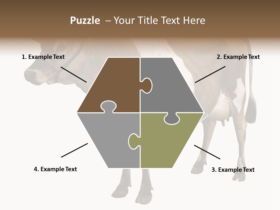 Hooves Calf Livestock PowerPoint Template