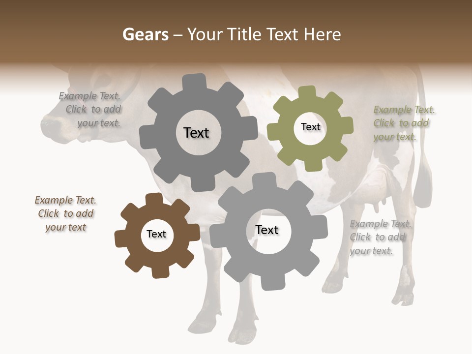 Hooves Calf Livestock PowerPoint Template