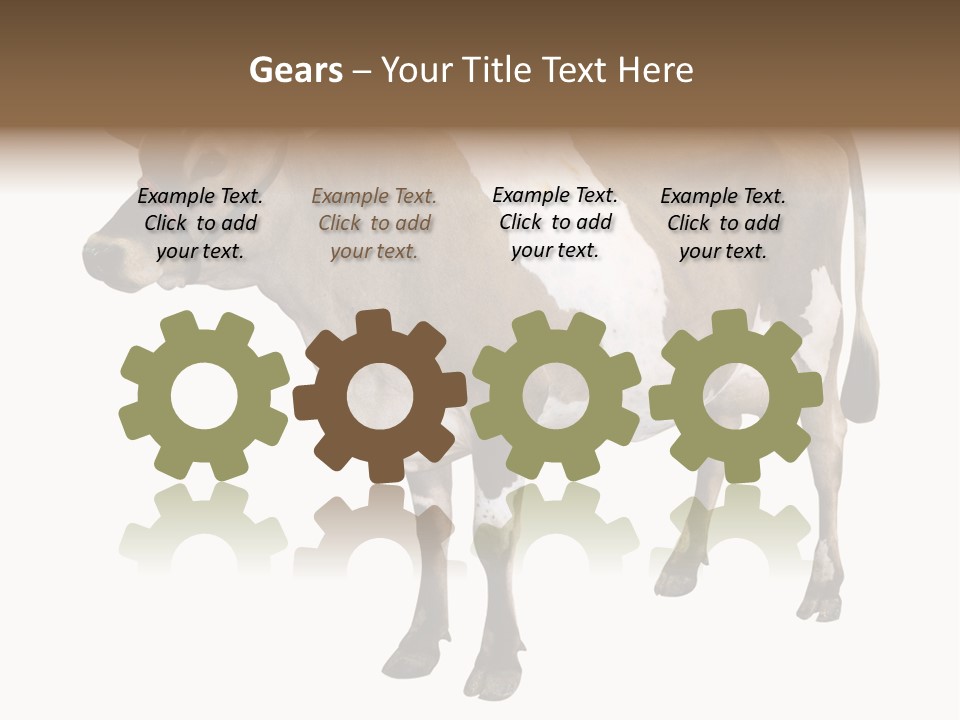 Hooves Calf Livestock PowerPoint Template