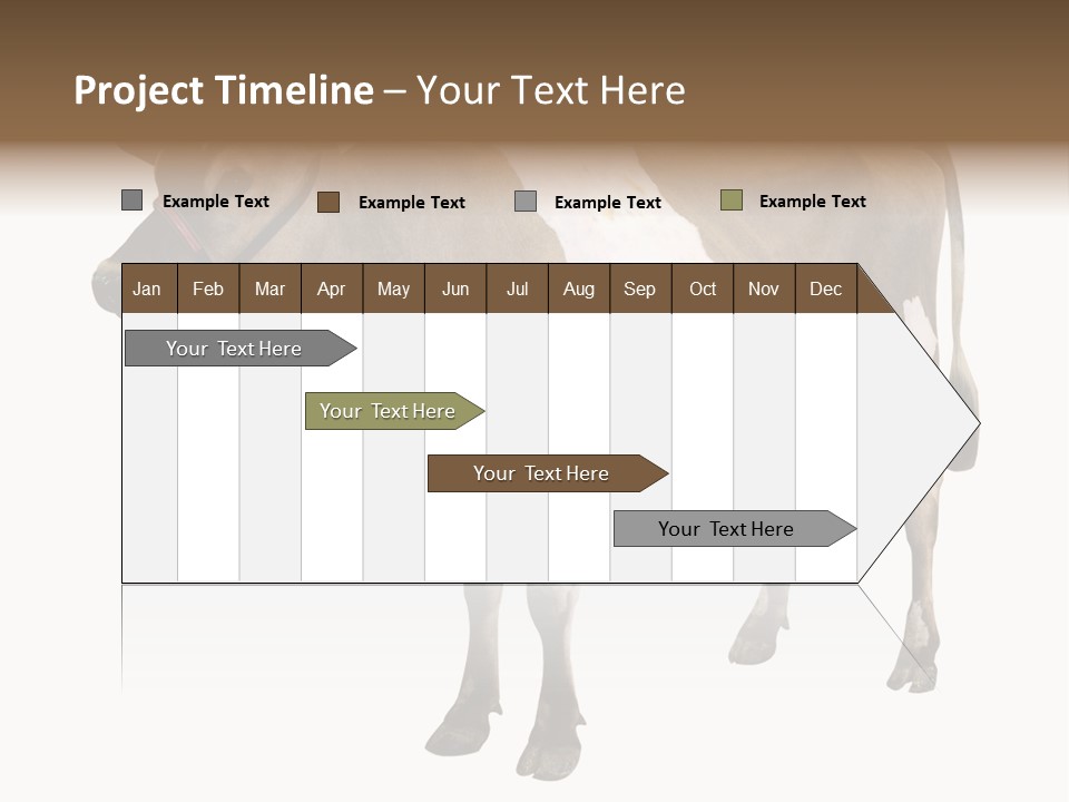 Hooves Calf Livestock PowerPoint Template