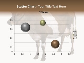 Hooves Calf Livestock PowerPoint Template