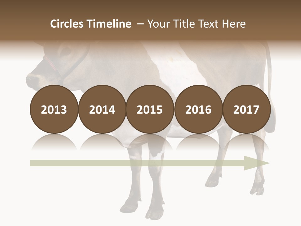 Hooves Calf Livestock PowerPoint Template