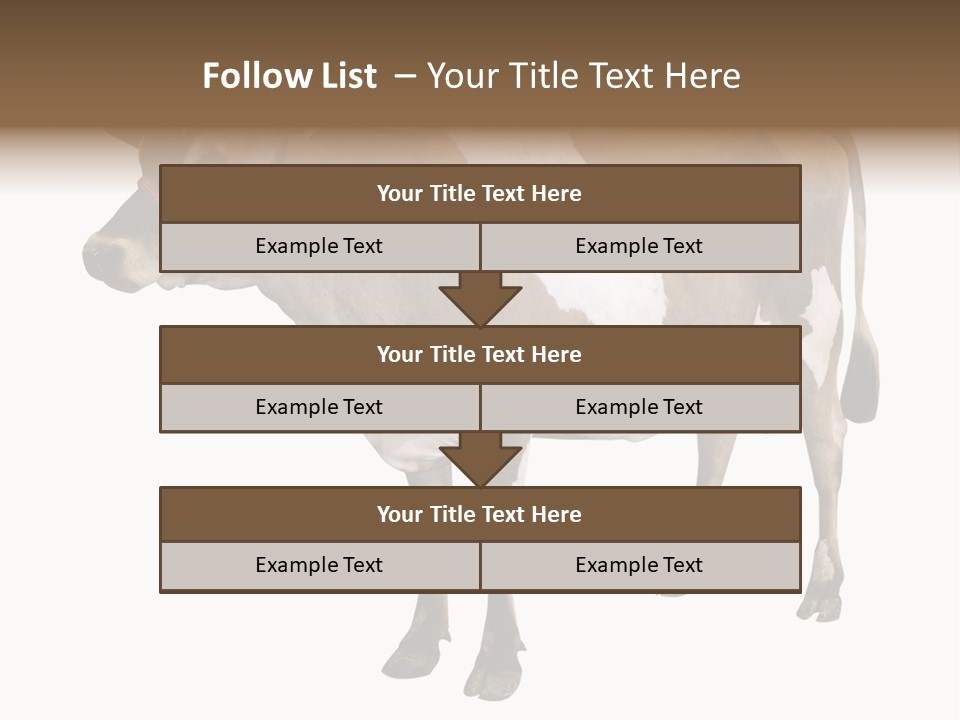 Hooves Calf Livestock PowerPoint Template