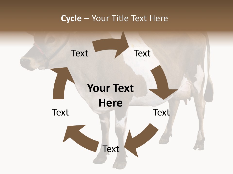 Hooves Calf Livestock PowerPoint Template