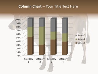 Hooves Calf Livestock PowerPoint Template